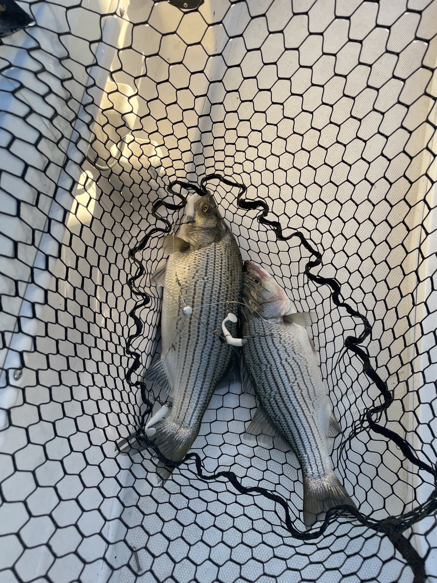 Livin Water Fishing — guided catch in Kansas