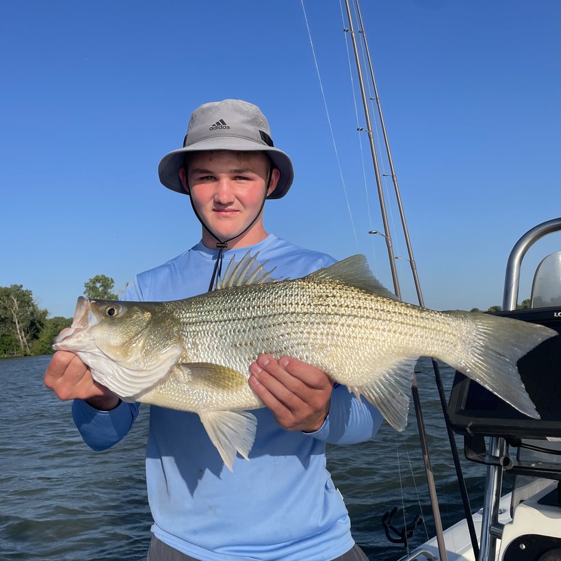 From the boat — Livin Water Fishing guided trip